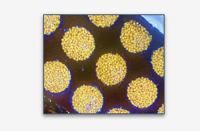 导电胶PCR